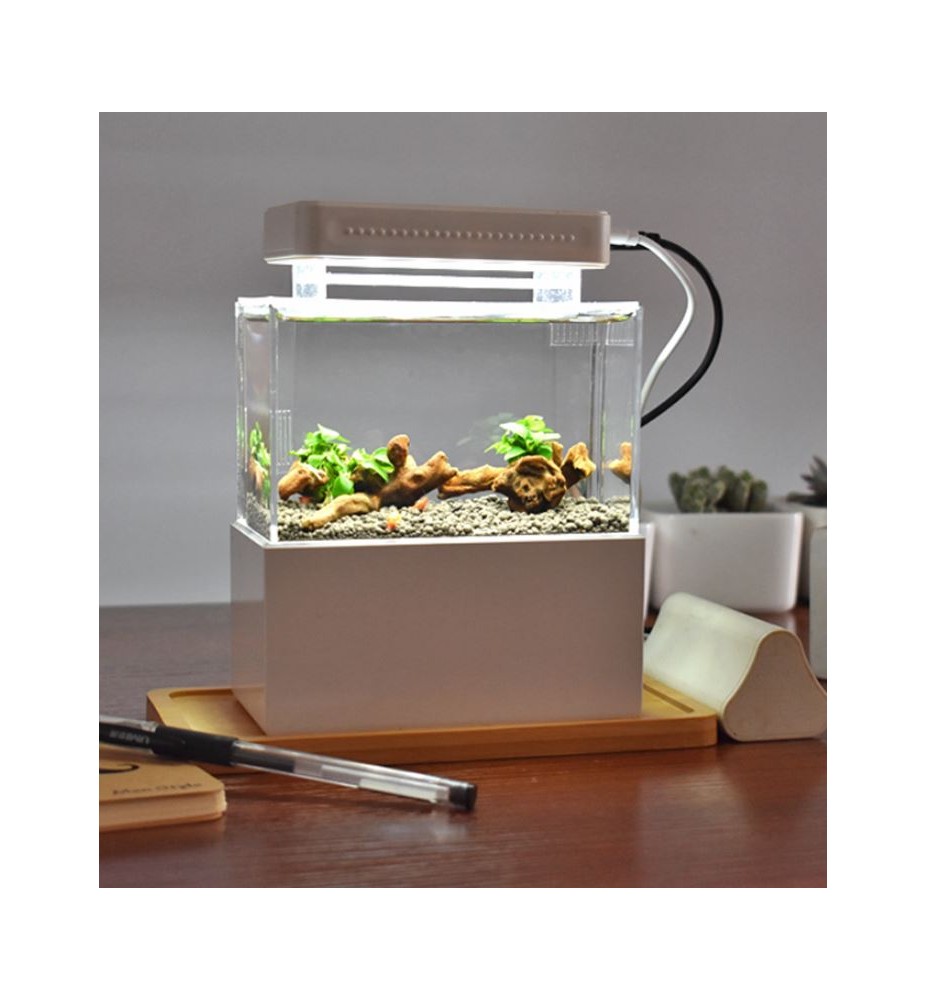 Cunzo Mini Aquarium Acrylic Glass for Saltwater and Freshwater