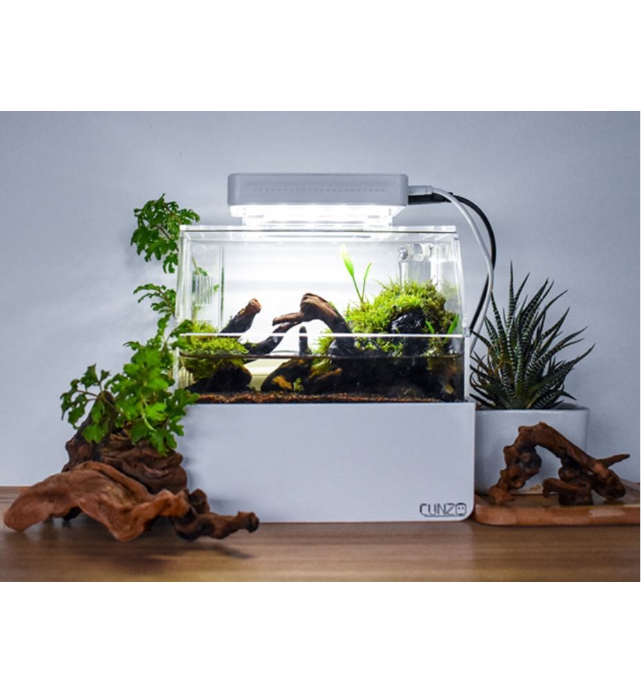 Cunzo Mini Paludarium with Lighting and Heater