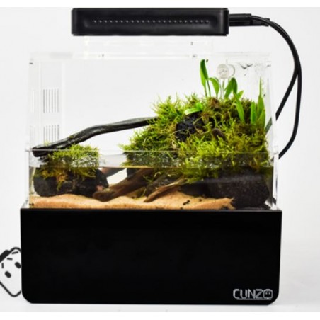 Cunzo Mini Paludarium with Lighting and Heater